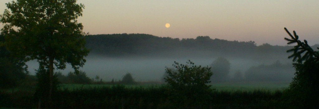 DSC_0013a.jpg